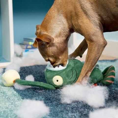 (玩具配对图片)玩具配对：挑战大脑，激发智力，助力儿童发展成长的有趣游戏