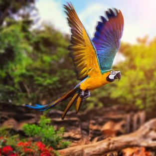 (揭秘我欲封天罗天本体是谁的身份背后的真相)揭秘我欲封天罗天本体是谁的身份背后的真相 (揭秘我欲封天罗天本体是谁的身份背后的真相)揭秘我欲封天罗天本体是谁的身份背后的真相