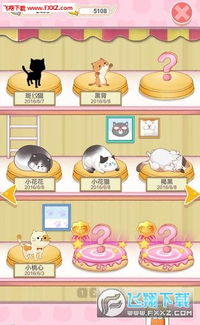 探寻猫宅生活之美：轻松愉悦的猫宅日记，记录猫咪的点滴生活点滴