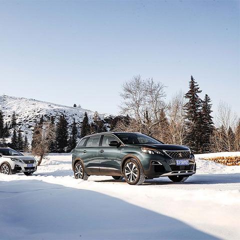 (神秘代号名字大全)探秘神秘之地：揭秘代号:秘境隐藏的秘密和奥秘