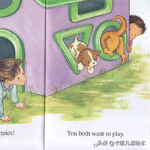 (宠物饼干制作方法)用宠物魔法饼干为你的小猫小狗带来无尽的乐趣与惊喜 (宠物饼干制作方法)用宠物魔法饼干为你的小猫小狗带来无尽的乐趣与惊喜