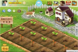 小小大农场攻略：全新指南教你如何优化农田布局、提升作物产量