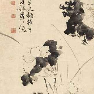 (代号风鸢)代号鸢港服：探索新世界的奇幻冒险与沉浸式游戏体验