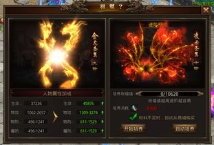 (龙腾传世羽化要多少羽毛)龙腾传世羽毛升级数据详解：升级方法、效果分析以及最新资讯