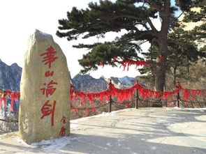 (白荆回廊微博)探秘白荆回廊官方网站:历史文化交融,风光旖旎让人心醉 (白荆回廊微博)探秘白荆回廊官方网站:历史文化交融,风光旖旎让人心醉