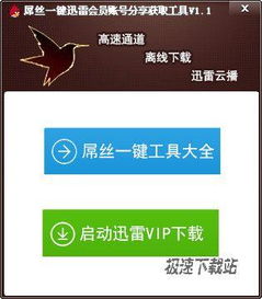 如何安全使用和共享迅雷账号密码，确保个人信息安全与流畅下载体验