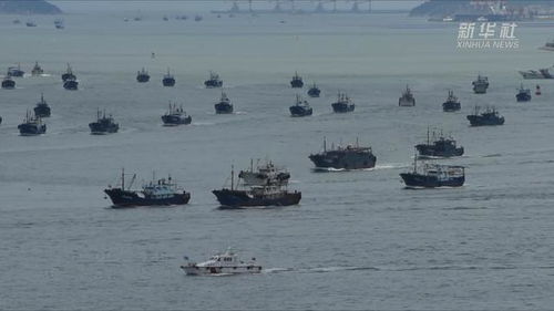 (福建渔船沉没)2024年1月31号福建沿海渔船停航，渔业受冲击，导致捕鱼产量骤降