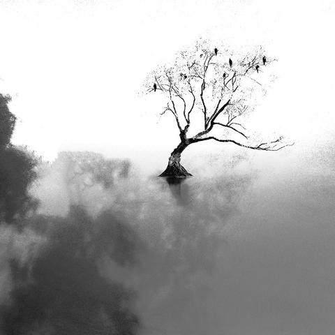 (不休的音符技巧)如何化解不休的音符,让它们重新奏响美妙旋律? (不休的音符技巧)如何化解不休的音符,让它们重新奏响美妙旋律?