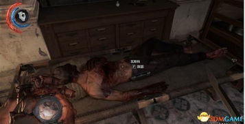 (耻辱保险箱密码大全3dm)揭秘耻辱攻略:如何找回保险箱密码并重塑尊严? (耻辱保险箱密码大全3dm)揭秘耻辱攻略:如何找回保险箱密码并重塑尊严?