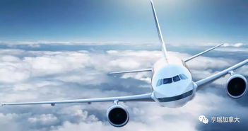 (孤独飞行(loner))孤独飞行：一个单机游戏中的飞机躲避挑战