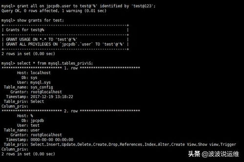(mforme)全面解析mformat中文版教程：从基础到进阶操作技巧详解