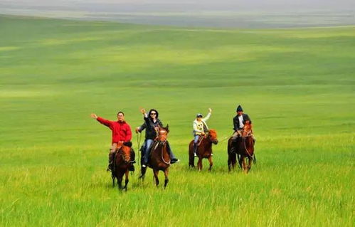 骑着马走来走去是什么歌？这首脍炙人口的马舞曲藏着什么故事？让我们一起揭开它的神秘面纱！