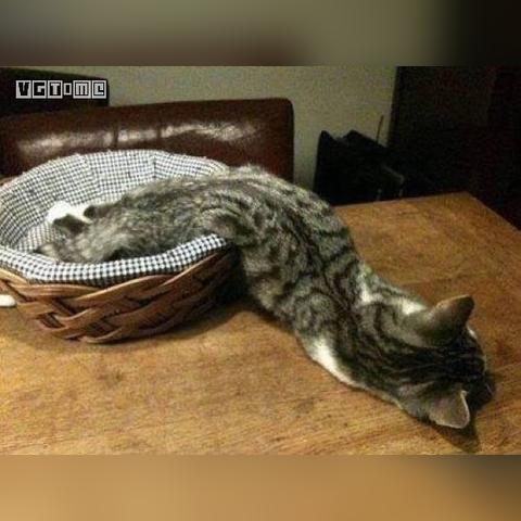 终极挑战:雷电王座boss攻略大揭秘,打败守护者占据王座的必备技巧 终极挑战:雷电王座boss攻略大揭秘,打败守护者占据王座的必备技巧