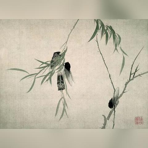 (蟋蟀是大自然的音乐家)大自然之音：蟋蟀在唱着美妙的交响曲