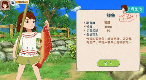 (浪漫庄园钓鱼在哪钓)浪漫庄园鱼饵在哪里买？购买浪漫庄园鱼饵的最佳去处在哪里？