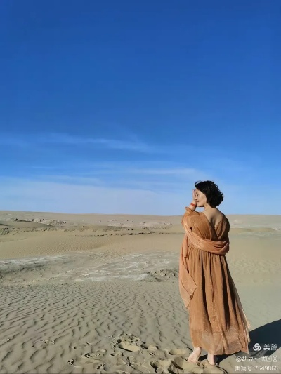 (感受大西北的苍凉之美)大西北苍凉之美，如沙漠中的一抹孤独花开。
