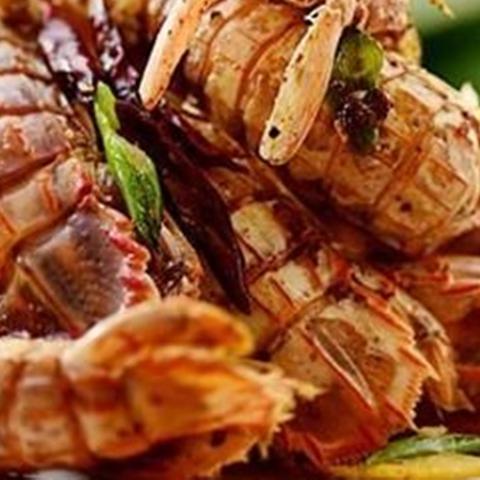 (皮皮虾传奇无限金币无限钻石最新版)皮皮虾传奇无限钻石版：打造属于你的虾界传奇之路