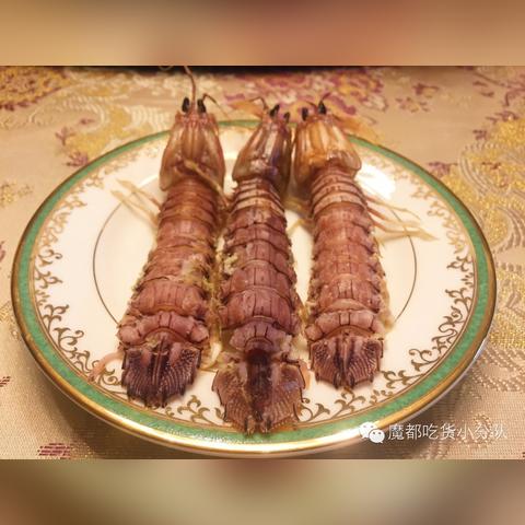 (皮皮虾传奇无限金币无限钻石最新版)皮皮虾传奇无限钻石版：打造属于你的虾界传奇之路