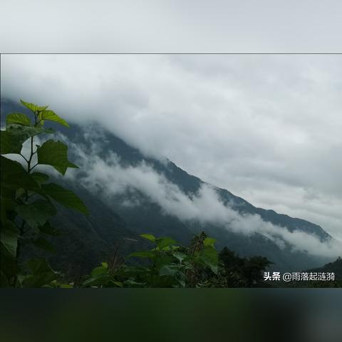 (蟋蟀唱些什么)蟋蟀唱着什么样的歌？探寻微小生灵的奇妙音乐之谜