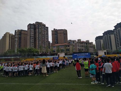 (田升光电科技有限公司)在这座城市中，田升星的故事与梦想交织出独特的人生之路