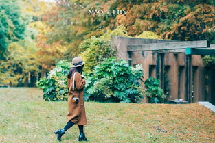 武义九州折相思：一场凄美动人的乡村故事，唤起心底深藏的乡愁情愫。