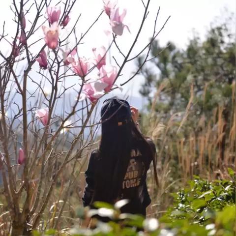 (随手记电脑版怎么与手机版同步)怎么在电脑上使用随手记？详细教程带你快速掌握使用技巧