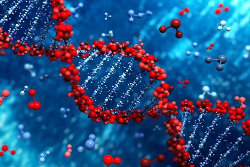 (每种纯净物的组成)不同来源的纯净物：天然、人造和人工合成的纯净物分类