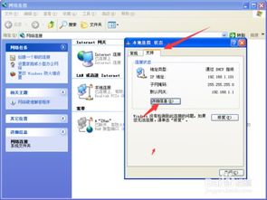 (查看电脑的ip地址有什么用)如何查看和理解自己电脑的IP地址以及其重要性